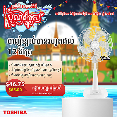 Toshiba Electric  Fan (16)